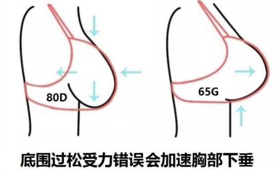 內衣設計研發